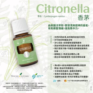 Citronella 香茅