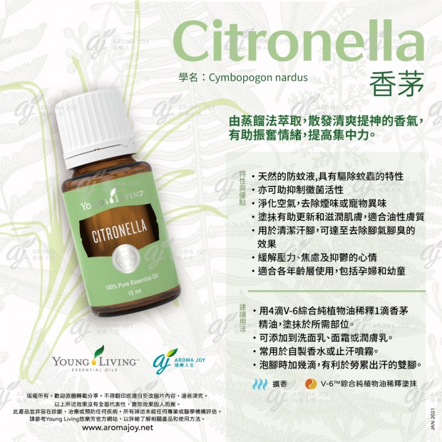 Citronella 香茅