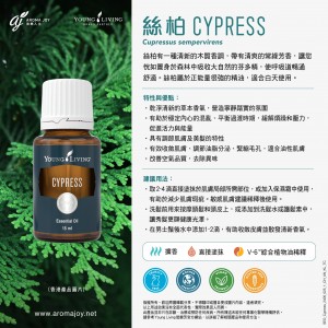 Cypress 絲柏