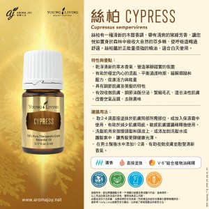 CYPRESS 絲柏 (十金)