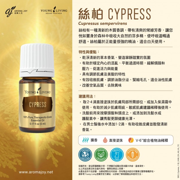 CYPRESS 絲柏 (十金)