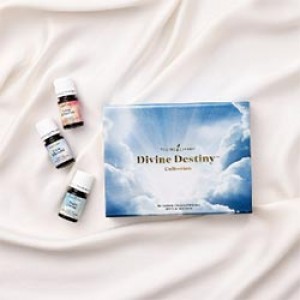 Divine Destiny™ 套裝