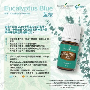Eucalyptus Blue 藍桉