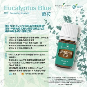 Eucalyptus Blue 藍桉