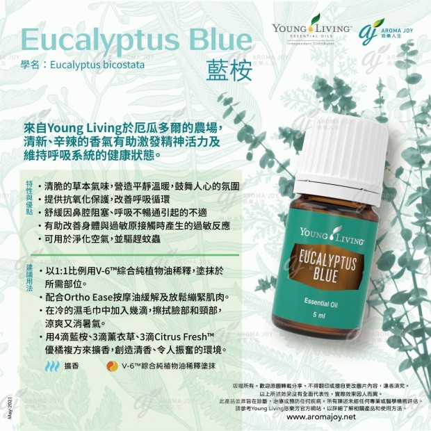 Eucalyptus Blue 藍桉