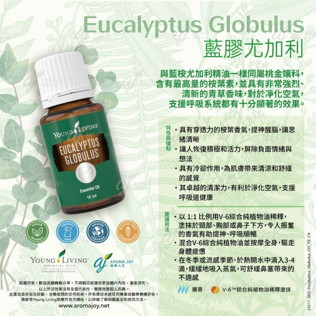 Eucalyptus Globulus 藍膠尤加利