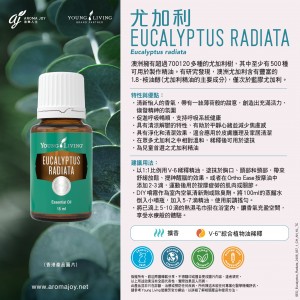 Eucalyptus Radiata 尤加利