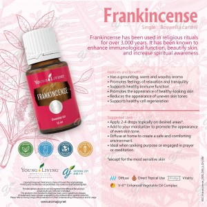 Frankincense 乳香