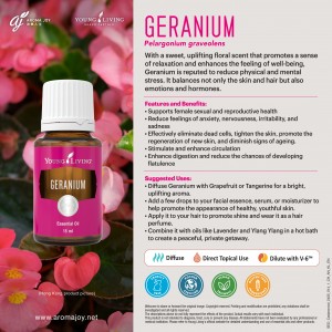 Geranium 天竺葵