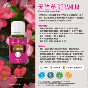 Geranium 天竺葵