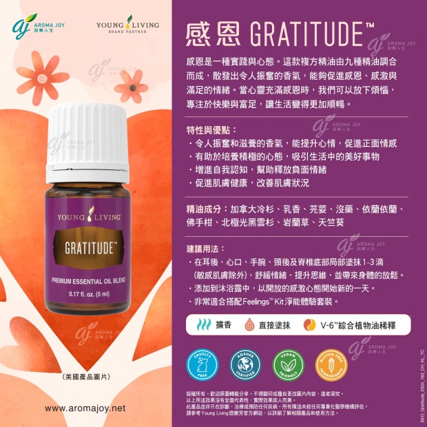 Gratitude 感恩