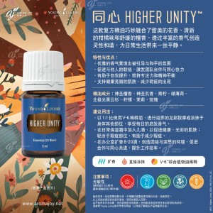 Higher Unity 同心