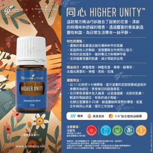 Higher Unity 同心