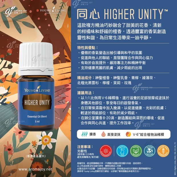 Higher Unity 同心