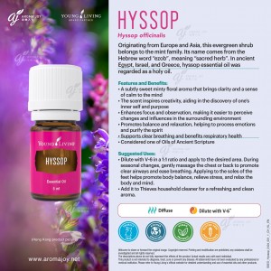 Hyssop 牛膝草