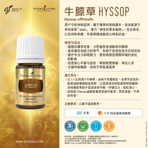 HYSSOP 牛膝草 (十金)