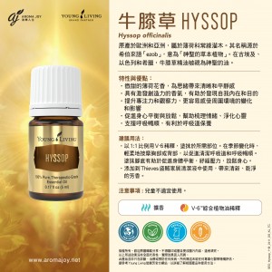 HYSSOP 牛膝草 (十金)