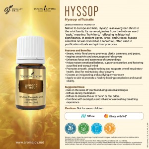 HYSSOP 牛膝草 (十金)