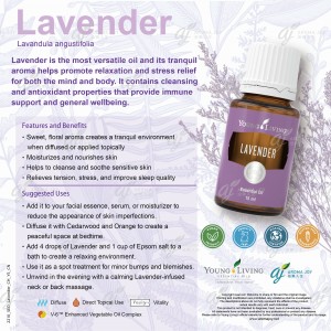 Lavender 薰衣草