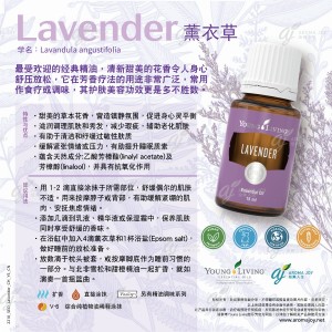 Lavender 薰衣草