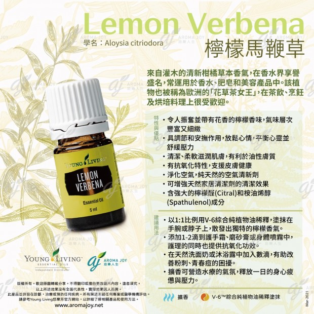 Lemon Verbena 檸檬馬鞭草