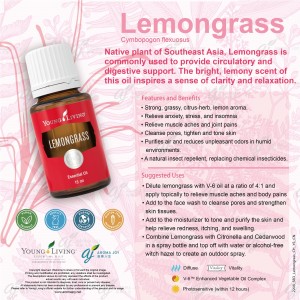 Lemongrass 檸檬香茅