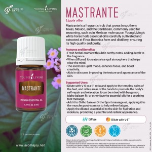 MASTRANTE 白馬鞭草