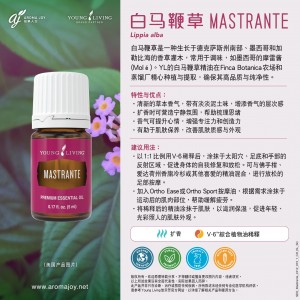 MASTRANTE 白馬鞭草