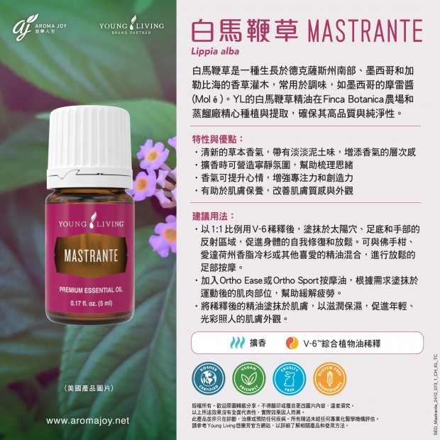 MASTRANTE 白馬鞭草