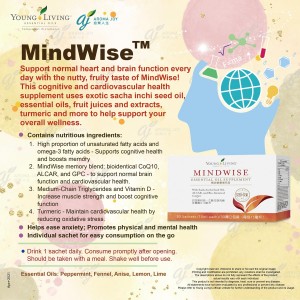 MindWise