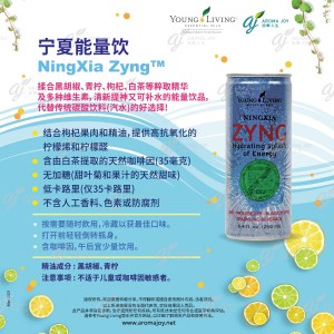 NingXia Zyng 寧夏能量飲
