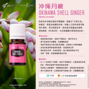 Okinawa Shell Ginger 月桃