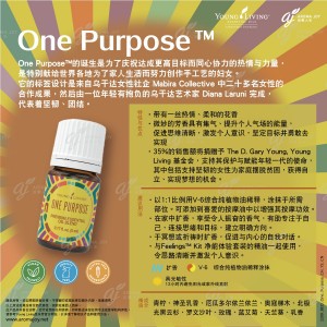 One Purpose 使命