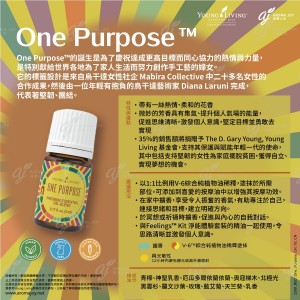 One Purpose 使命