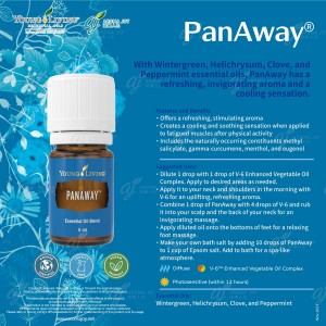 PanAway 深舒
