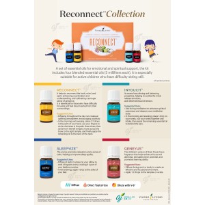 Reconnect™ Collection 重新連結精油套裝
