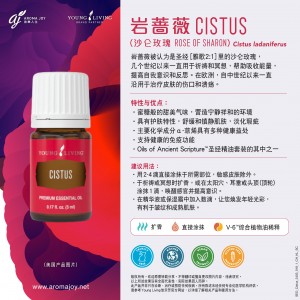 Cistus (Rose of Sharon) 岩蔷薇 (沙崙玫瑰)