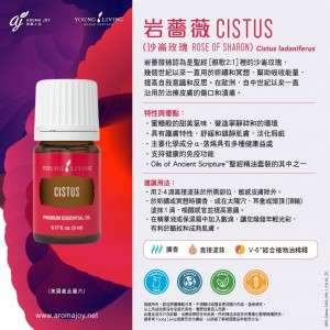 Cistus (Rose of Sharon) 岩蔷薇 (沙崙玫瑰)