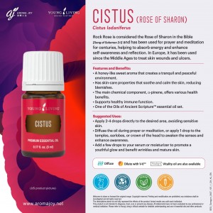 Cistus (Rose of Sharon) 岩蔷薇 (沙崙玫瑰)