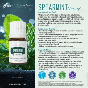 SPEARMINT Vitality 綠薄荷精油調味料
