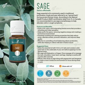 Sage 鼠尾草