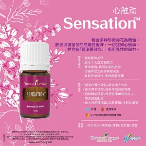 Sensation 心觸動