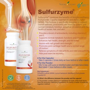 Sulfurzyme