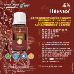 Thieves 盜賊