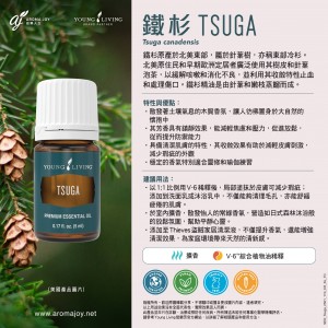 Tsuga 鐵杉