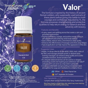 Valor 勇氣