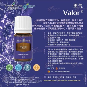 Valor 勇氣