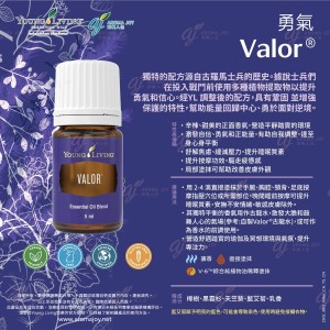 Valor 勇氣