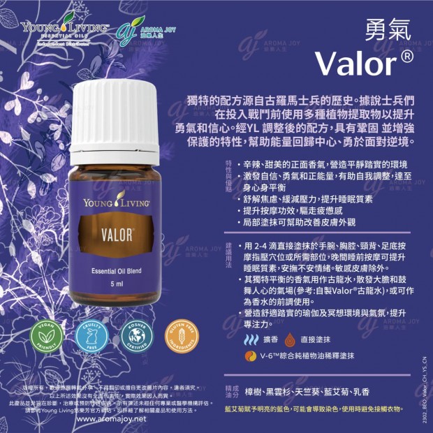 Valor 勇氣