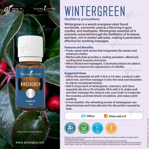 Wintergreen 冬青